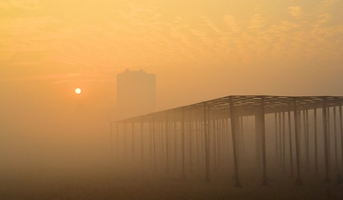city morning winter india mist misty sunrise landscape cityscape artistic kolkata bengal calcutta maidan afloat শীতেরসকাল