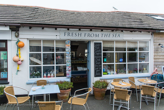 Fresh From The Sea - Port Isaac, Cornwall, England, UK