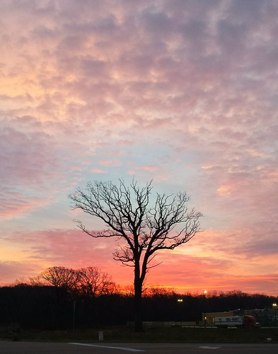 tree clouds sunrise walmartsupercenter flickrandroidapp:filter=none