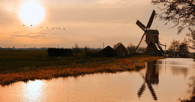 The characteristic hollow post mill Vrouw Venne in the typical Dutch landscape