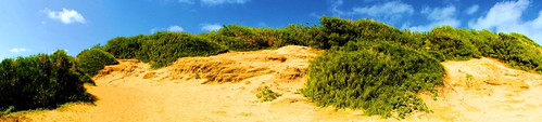 sanddune | by racereed1