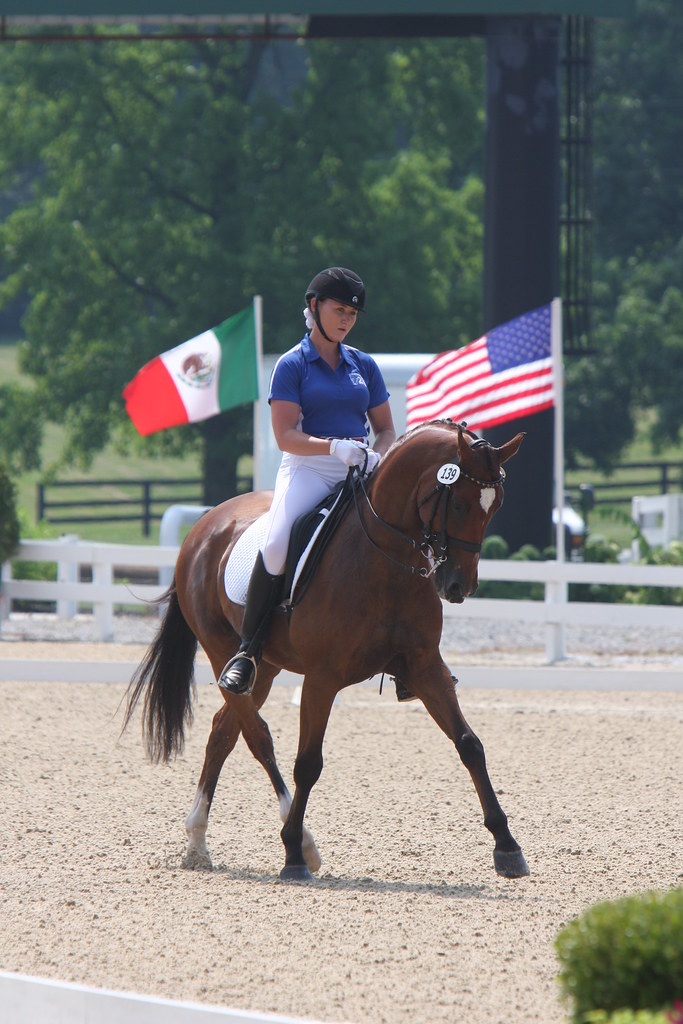 Individual Competition 2013NAJYRC | Flickr