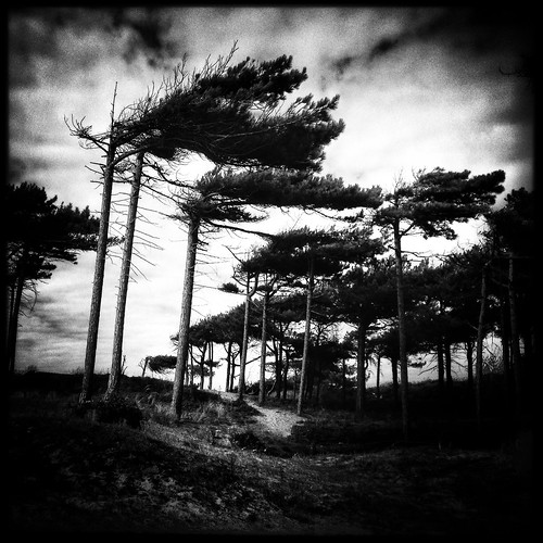 blackandwhite contrast landscape mobilephotography iphoneography hipstamatic snapseed oggl mobiography