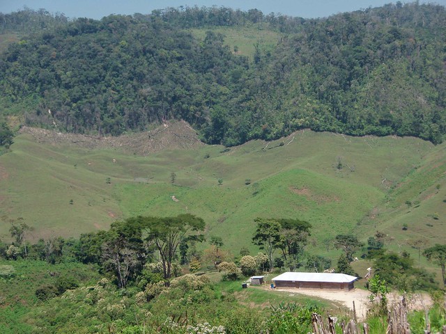 Areas deforestadas - deforested areas; near Sibal y Cintalapa, Lacandonas, Chiapas, Mexico