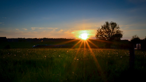 belgië belgium ny hotton sunset evening sun sunshine clear ardennen chantalnederstigt field countryside meadow platteland day channedimages