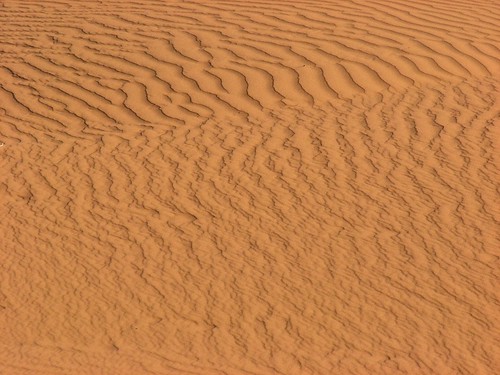Sand Dunes 053 | by Chandler West