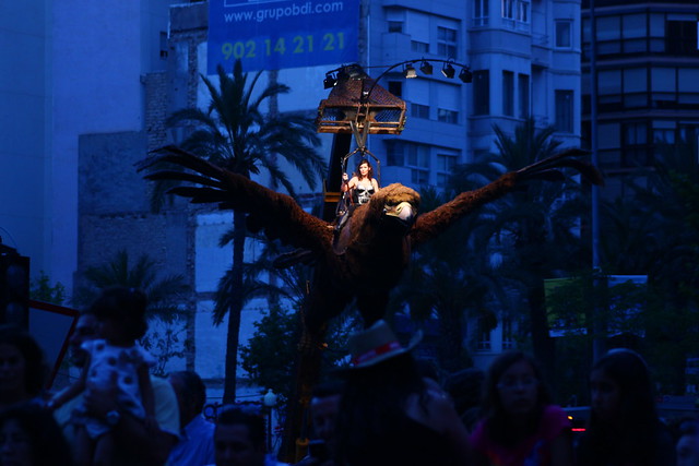Águila Sophia en Alicante. Fogueres de Sant Joan 2013 (1)