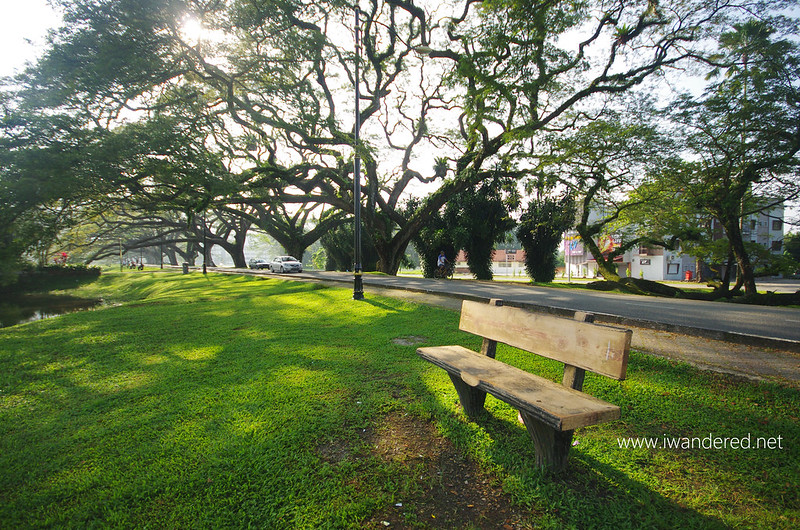 a lone bench at taiping lake gardens