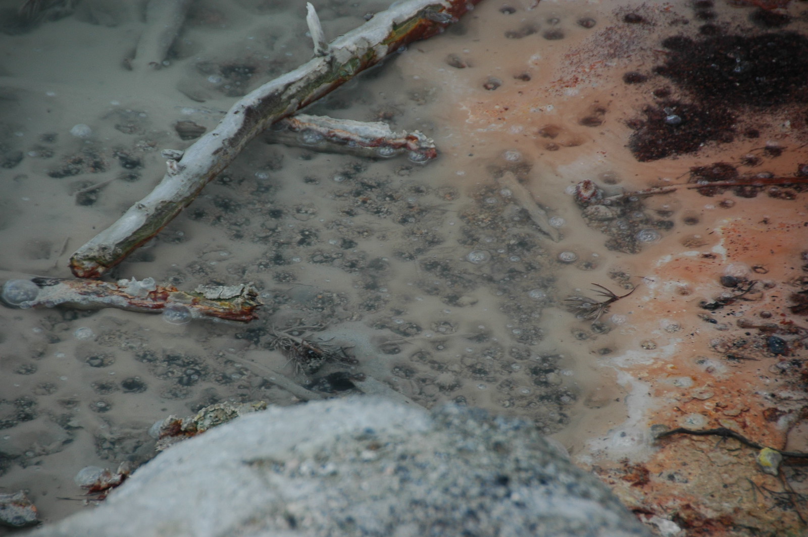 Black Pit Spring (Back Basin, Norris Geyser Basin, Yellowstone Hotspot ...