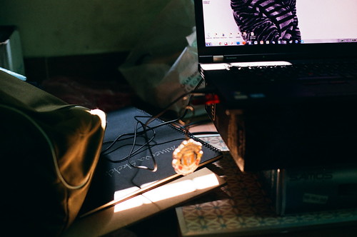 Work Place | by N D B W