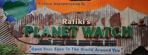 Rafiki's Planet Watch