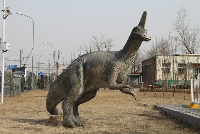 Beijing Natural History Museum Corythosaurus