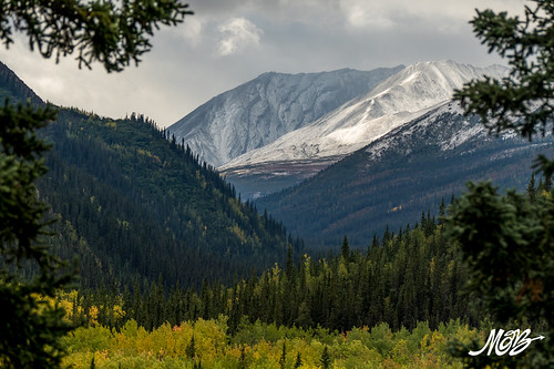Denali NP, Alaska