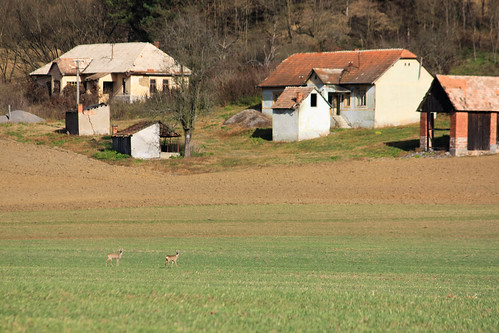 autumn slovensko slovakia 2015 jeseň sopky cerovávrchovina fiľakovo