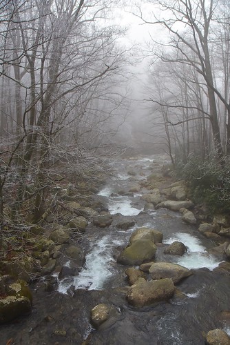 tennessee smokymountains mountain stream fog stevelamb nikon d7200 nikkor18200mm nature
