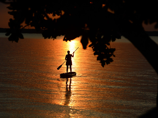 Summer Silhouettes~Lady of the Bay