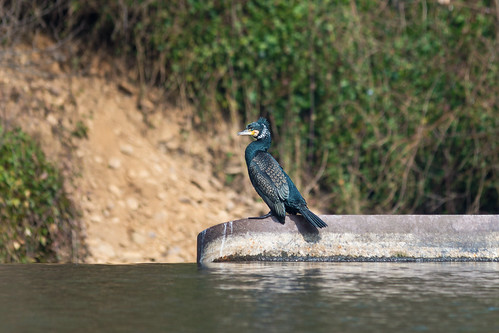 Waiting | by technodean2000