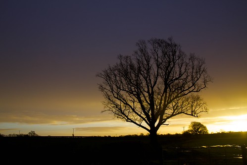 morning winter sky cloud storm tree sunrise dawn day glow alba