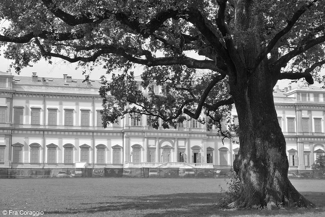 La Reggia e la Quercia - The Palace and the Oak