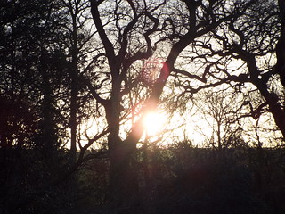 Sunset from Ewloe Castle