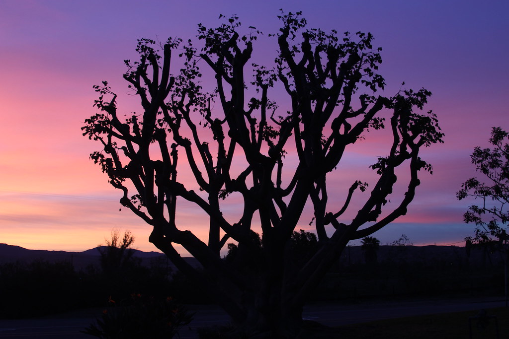 Sunrise Placentia California