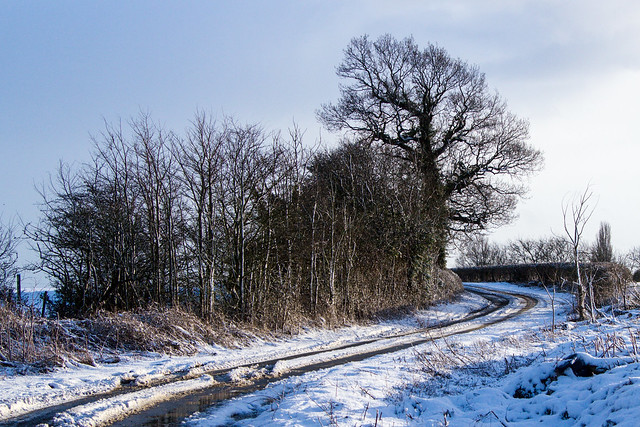Snowy Lane-4326