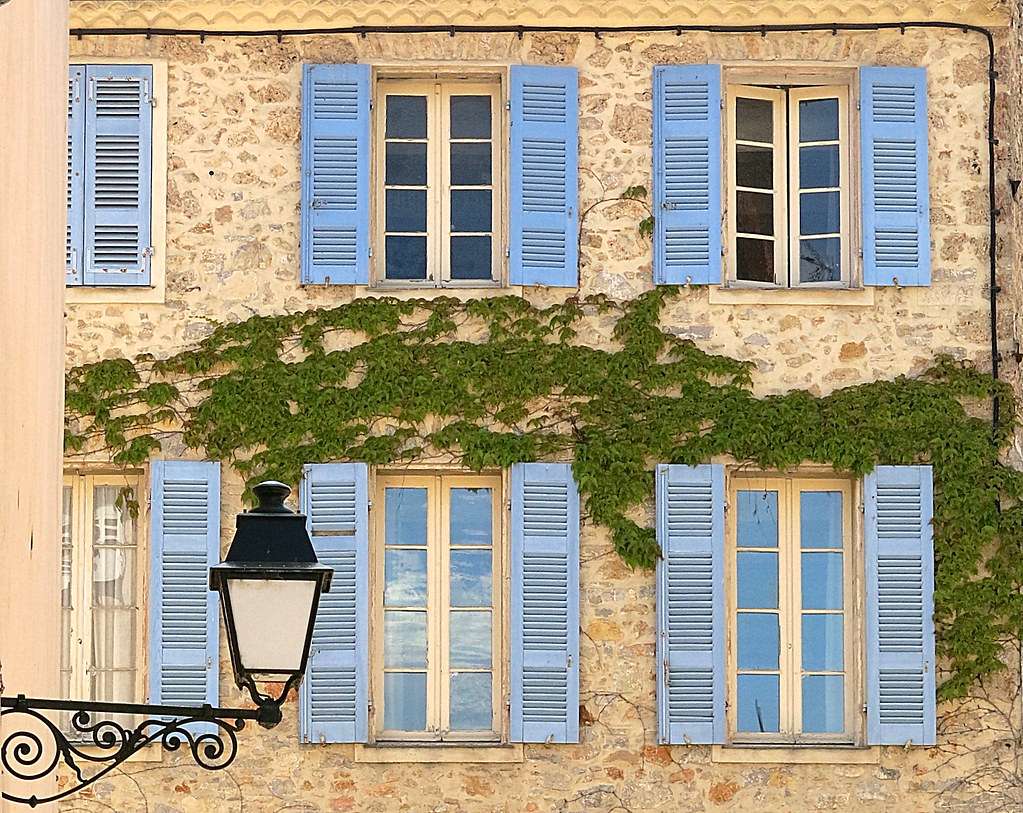 Blue shutters and vine, Carcès, Var, Provence, France