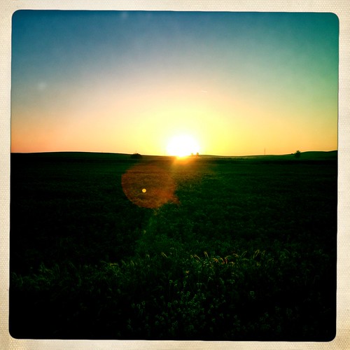 Day 16 by map-kristi, 