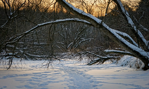 humberriver landsape trees frozen river snow sunset bolton caledon