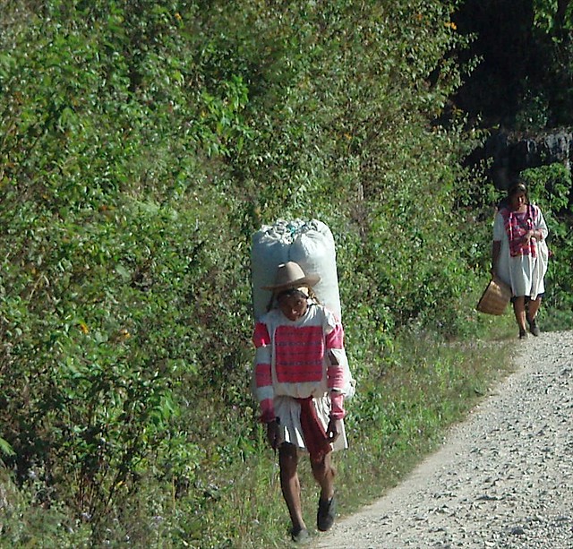 Carrying a load from the fields - Lleavando una carga; camino entre San Juan Cancuc y Oxchuc, Chiapas, Mexico