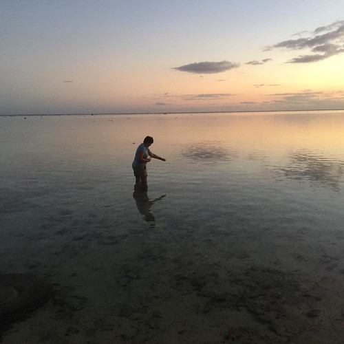 Feeding marine fish at sunset on coral reef outside Out of the Blue Fiji Maui Bay. #coralcoast #mauibay #instagram #outofthebluefiji #sunsets #fiji #fijinow #instadaily #instacool #instamood #travel # by Janr20, instagramapp square squareformat iphoneography uploaded:by=instagram