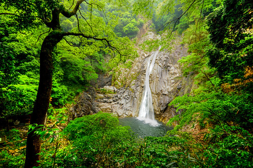 kobe japan kobejapan 神戸 nunobiki falls waterfall nunobikifalls landscape nature beauty green asia asian