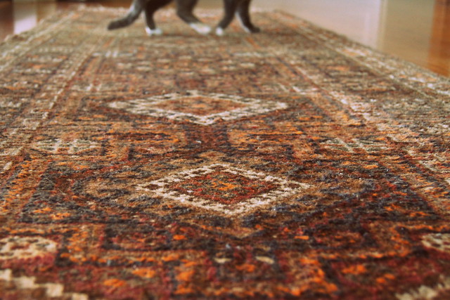 crossing the great rug