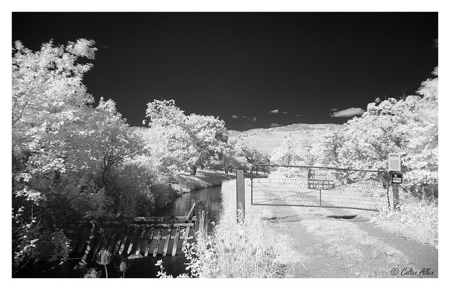 Irrigation Ditch in Infrared.