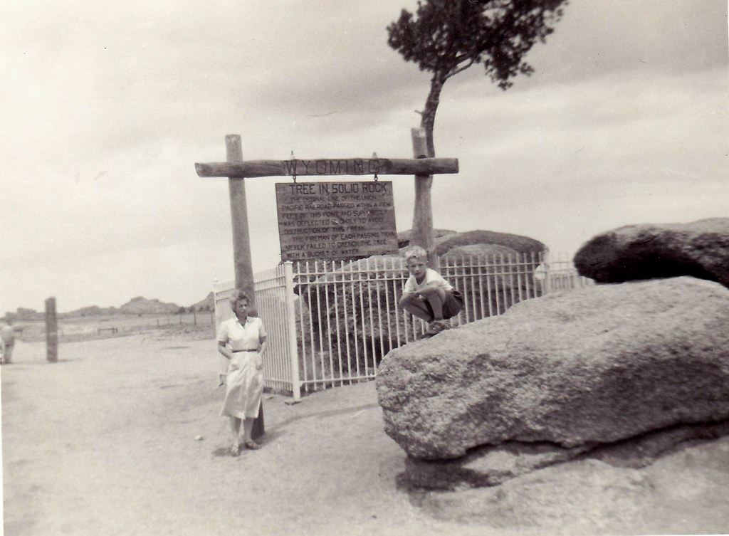 c. 1951-52 Tree in Solid Rock