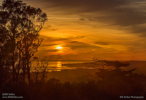 ocean california trees sunset sky sun reflection water silhouette santabarbara clouds landscape evening pacific pacificocean goldenhour montecito californiacoast stearnswharf vedantatemple