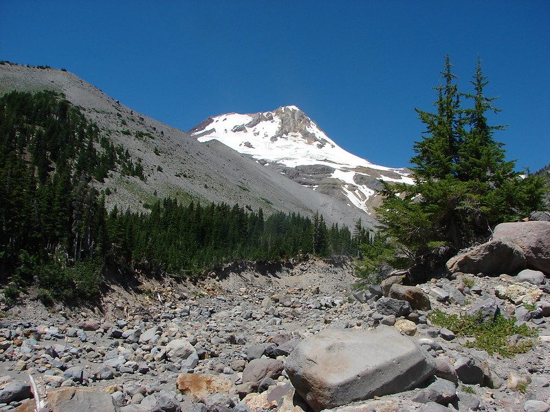 Mt. Hood from the Newton Creek crossing of the Timberline Trail