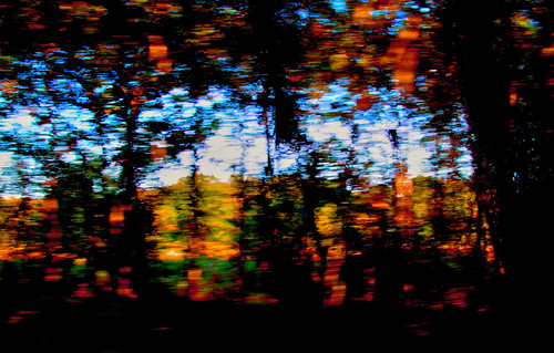 car window | by Jon Bunting