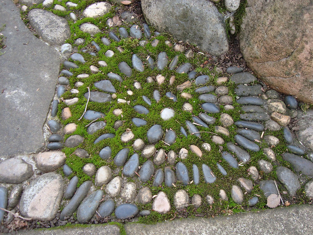 Mossy Spiral