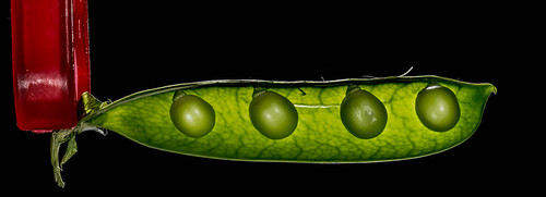 Peas - Half Pod | by e_impact