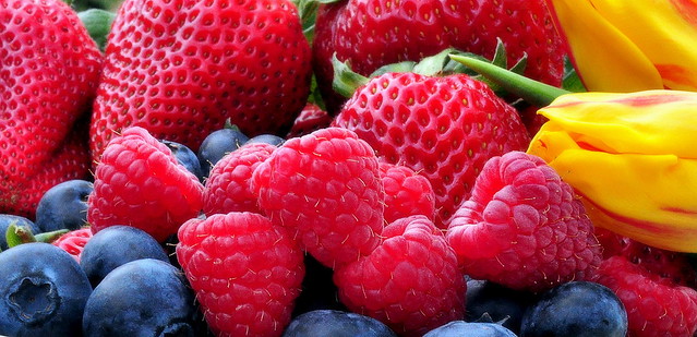 Grateful for berries!