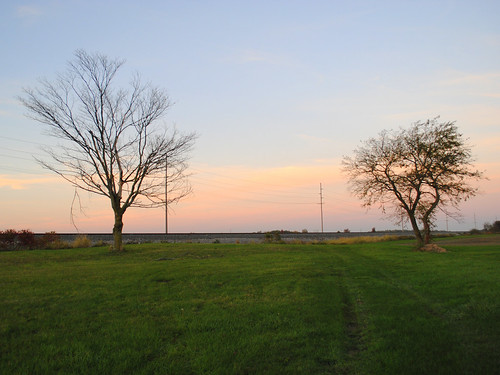 railroad trees sunset ohio grass stryker