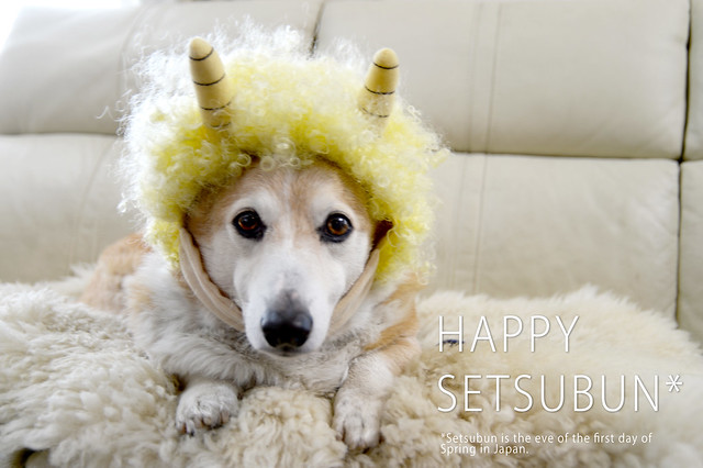 Happy Setsubun!