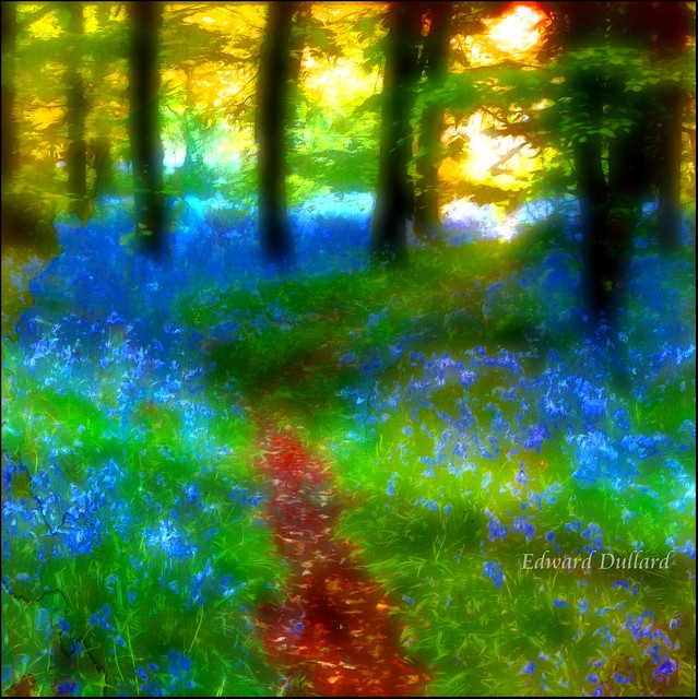 Impression of a bluebell wood.