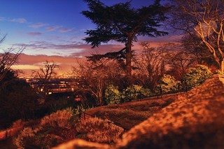 View from Richmond Hill at Dusk