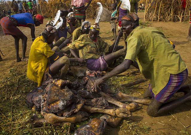 Dassanech Tribe People  Cooking A Cow, Omorate, Omo Valley, Ethiopia