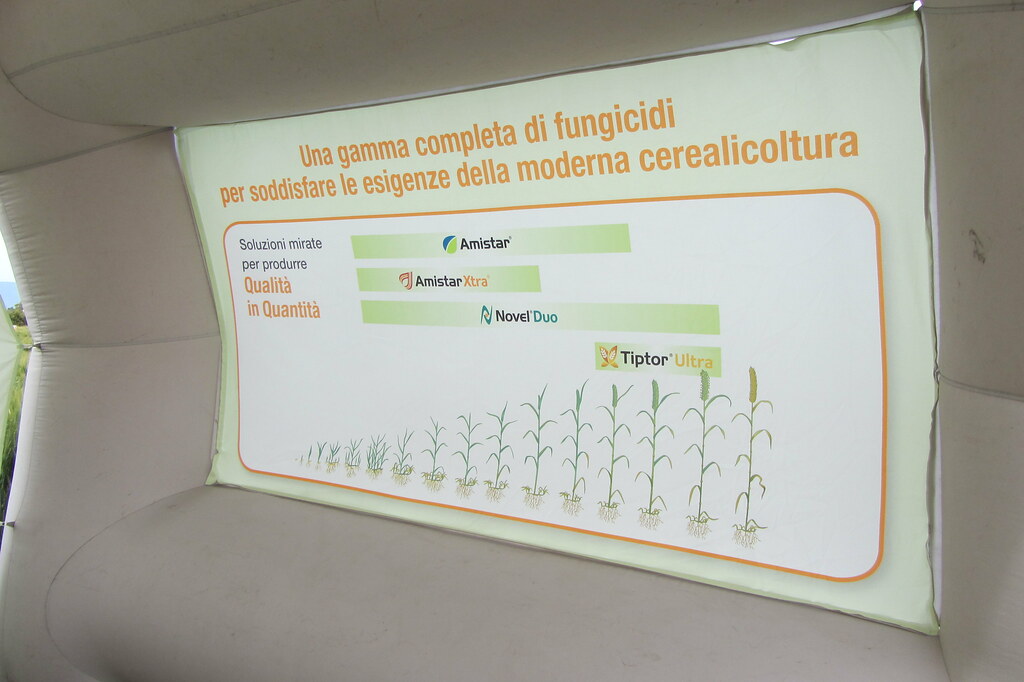 Syngenta in campo - BigEvent Cereal Plus 2014 5529