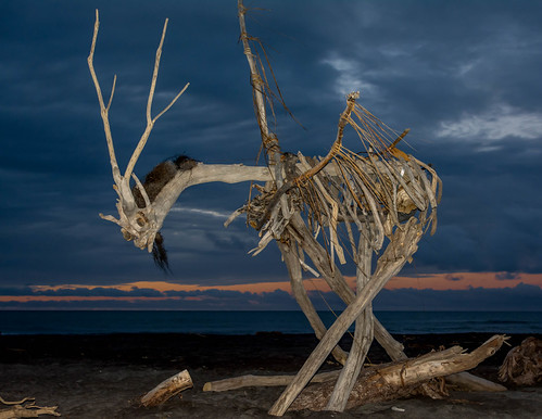 Strange Encounter by Myreality2, sunset newzealand beach events driftwood westcoast hokitika westcoastnz