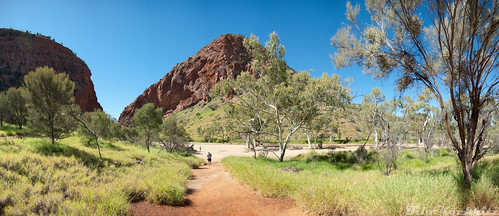 panorama reisen outback australien redcenter northernterritory naturfotografie panoramaaufnahme samsunggx10 burtplain