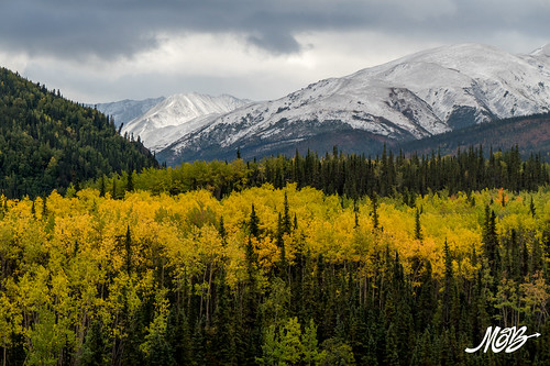 Denali NP, Alaska